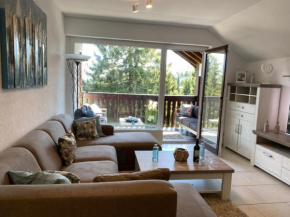 Ferienwohnung Kappeblick direkt am Skikarussell u. Bike-Park